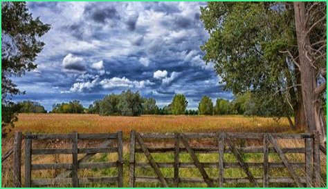 What is severance tax in oil and gas?